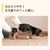 立ち上がりがラクな防滑タイルマット