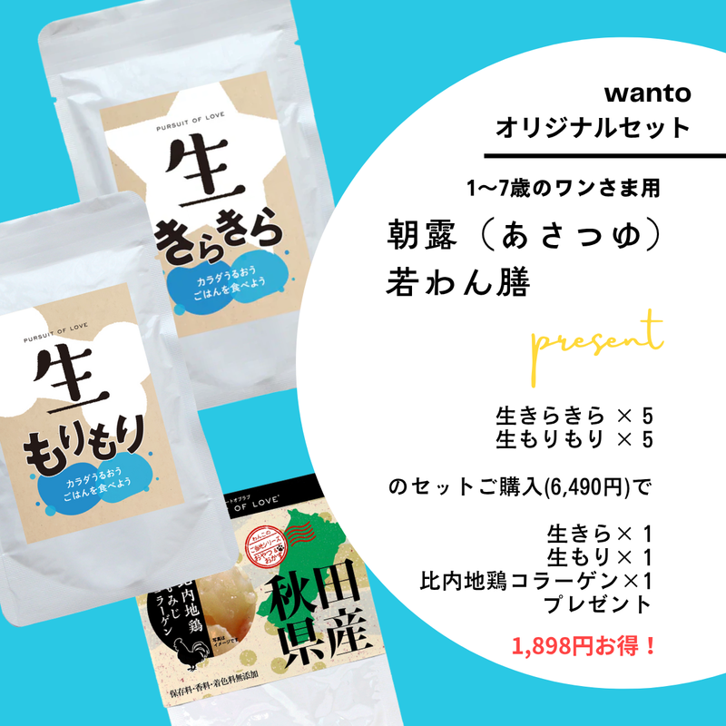 朝露(あさつゆ)若わん膳