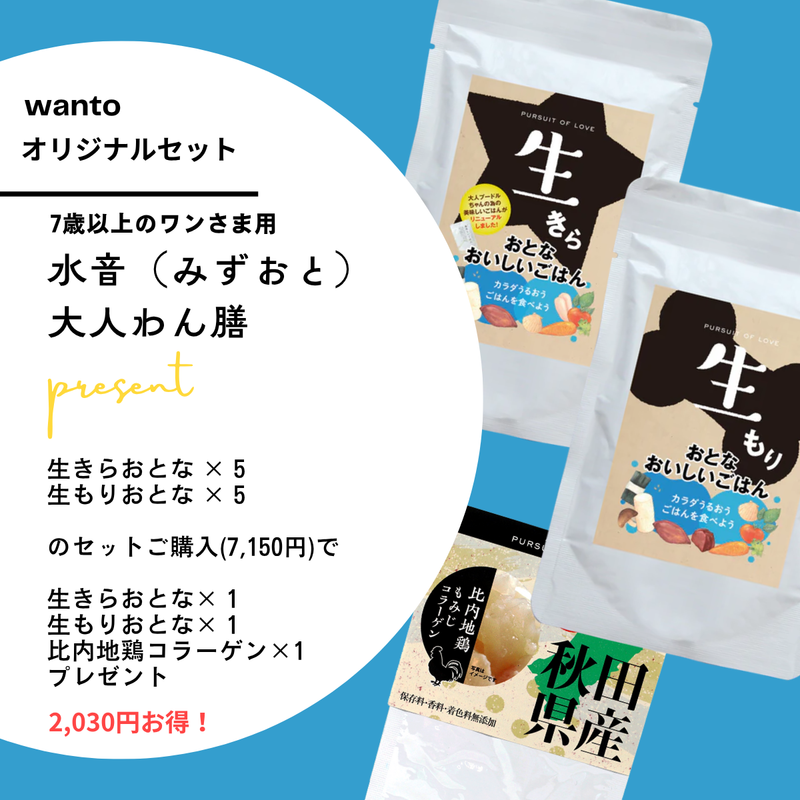 水音(みずおと)大人わん膳