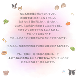 きらきら ぼくらのなみだごはん 〜食事療法食・腎臓〜