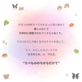 きらきら ぼくらのなみだごはん 〜食事療法食・心臓〜