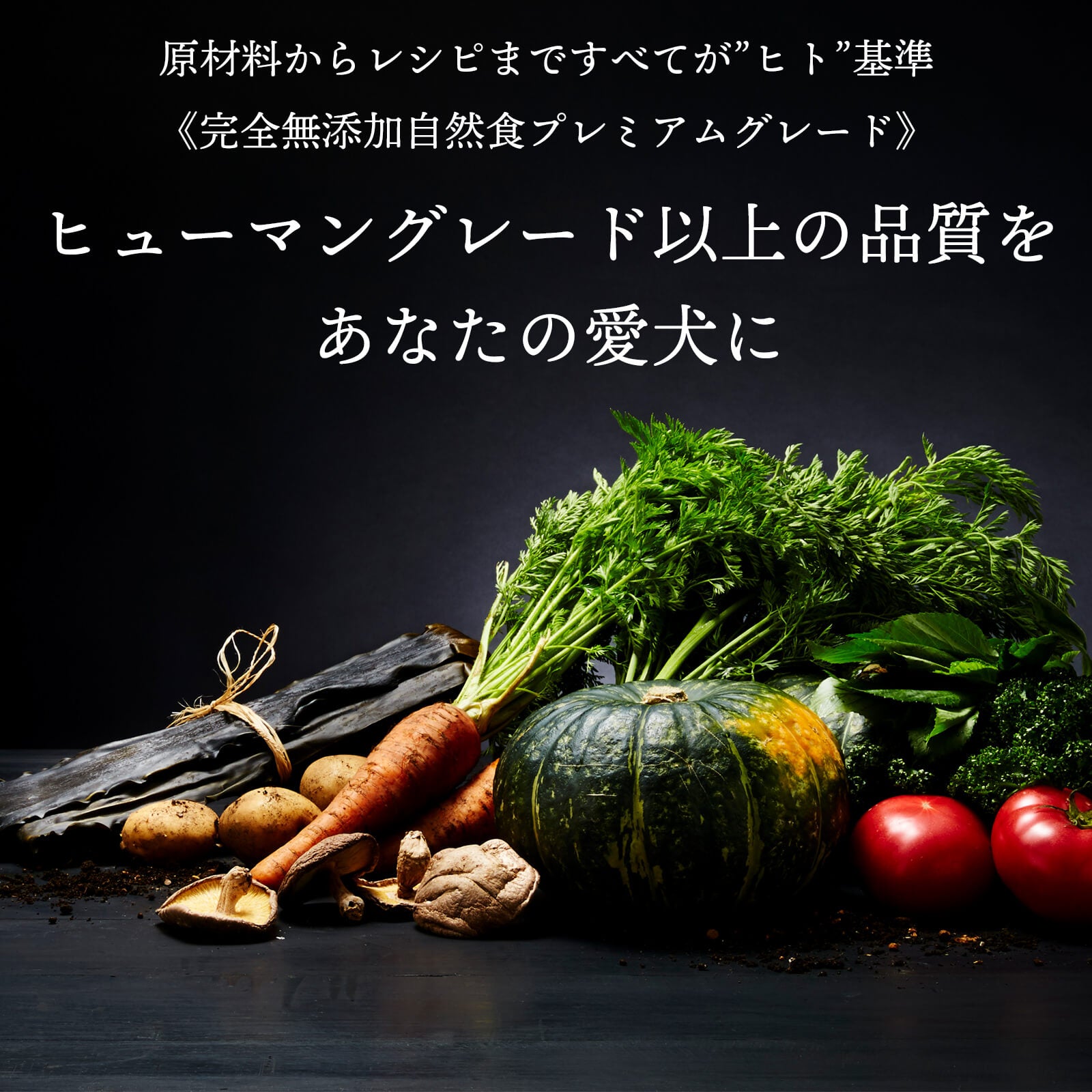 きらきら ぼくらのなみだごはん 800g – WANTO